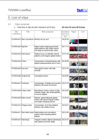 T2V004 LowRes clip summary