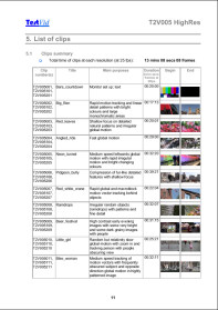 T2V005 HighRes clip summary